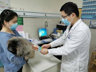 即日起,凭犬只免疫准养证可到这66家店享受宠物优惠